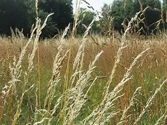 alternativní popis obrázku chybí