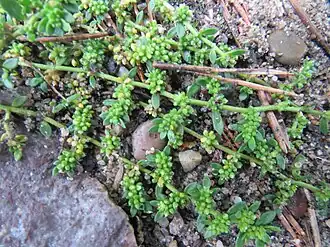 alternativní popis obrázku chybí