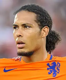 Virgil van Dijk (2016)