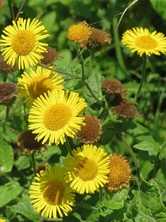 alternativní popis obrázku chybí