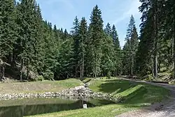 rybník v Nowe Bielé