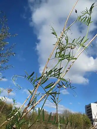 alternativní popis obrázku chybí