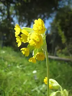 alternativní popis obrázku chybí