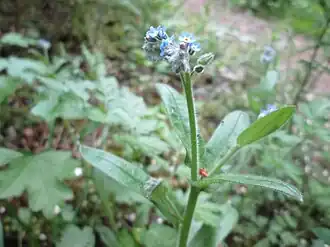 alternativní popis obrázku chybí