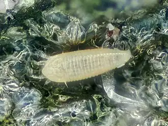 alternativní popis obrázku chybí