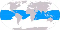 Areál rozšíření