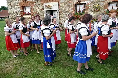 Průvod svatebčanů jde za Pazderníkem (neboli Konopičákem)