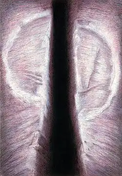 Tajemství znaků (1993)