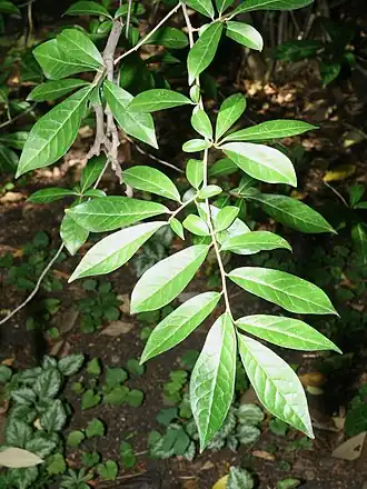 alternativní popis obrázku chybí