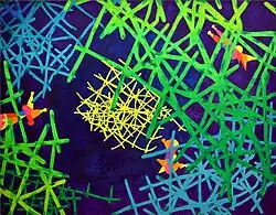 Kolibříci v pralese (2006)