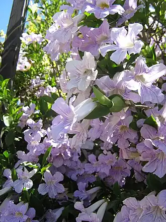 alternativní popis obrázku chybí