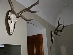 Vyústění do hostinských pokojů (na konci schodiště)