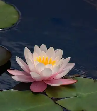 alternativní popis obrázku chybí