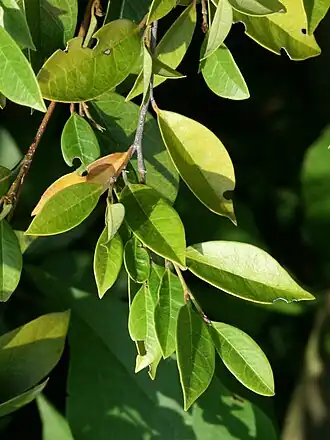 alternativní popis obrázku chybí