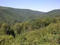 Pohoří Papuk u zaniklé vesnice Šušnjari