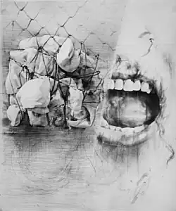 Zdeněk Beran, Instalace křiku (1979)