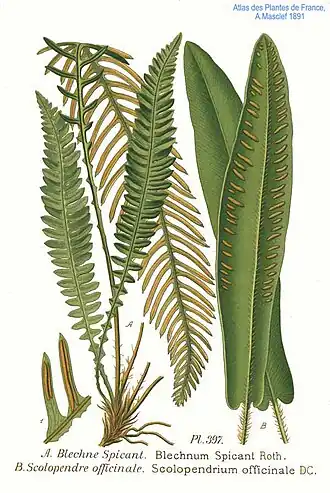 alternativní popis obrázku chybí