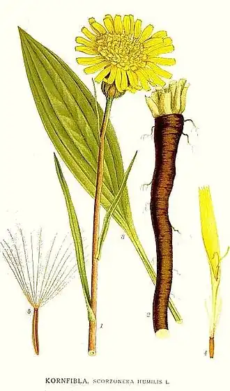 alternativní popis obrázku chybí