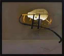 Testování plnicího pera – Etude (1979)