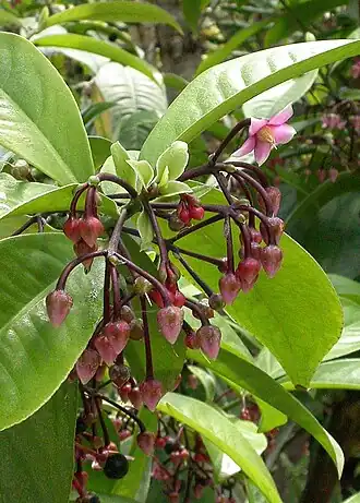 alternativní popis obrázku chybí