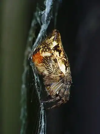 alternativní popis obrázku chybí