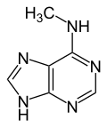 6-methyladenin