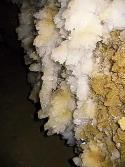 Krystaly sádrovce na stěně jeskyně