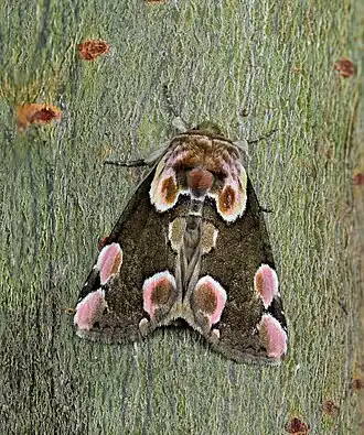 alternativní popis obrázku chybí