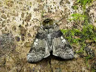 alternativní popis obrázku chybí