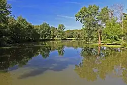 Stará Dyje u Janova hradu