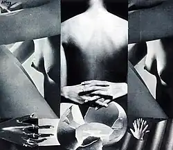 Adolf Hoffmeister, Rozbitý život, 1973