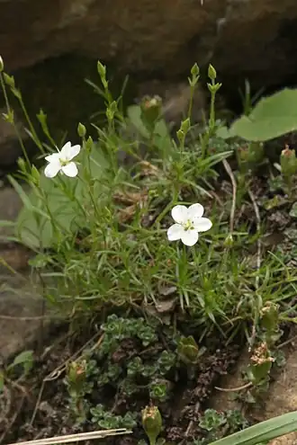 alternativní popis obrázku chybí