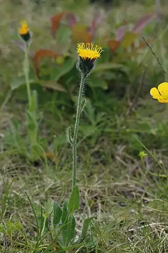 alternativní popis obrázku chybí