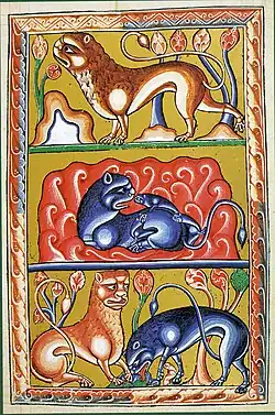 Lvi (Ashmole bestiary, počátek 13. stol., Oxford)