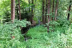 Mezi Aší a Podhradím