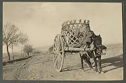 A cart in the Osh oasis