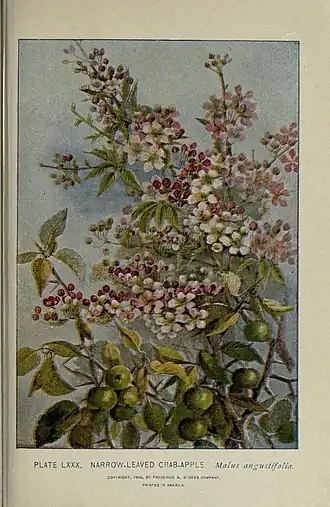 alternativní popis obrázku chybí