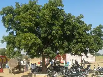 alternativní popis obrázku chybí