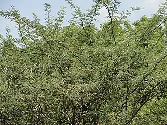 alternativní popis obrázku chybí