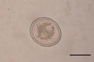 alternativní popis obrázku chybí