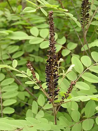 alternativní popis obrázku chybí