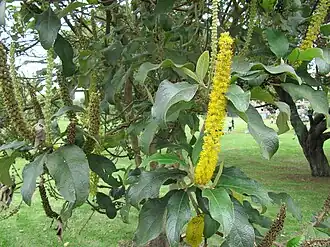 alternativní popis obrázku chybí