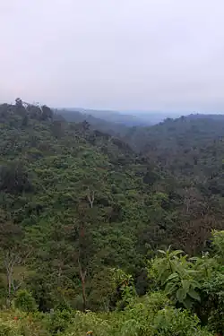 Národní park Aberdare