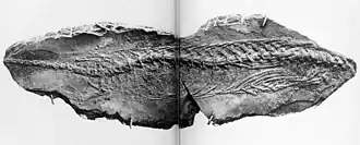 alternativní popis obrázku chybí