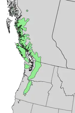 Areál rozšíření