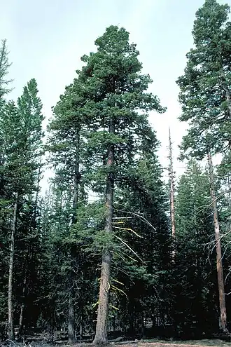 alternativní popis obrázku chybí