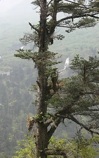 alternativní popis obrázku chybí