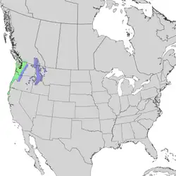 Areál rozšíření