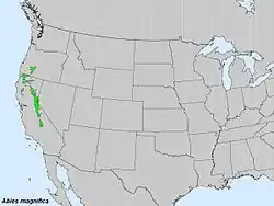 Areál rozšíření