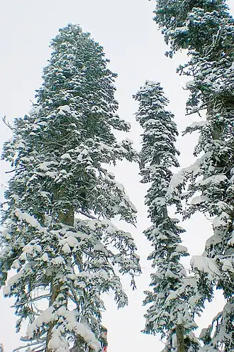 alternativní popis obrázku chybí